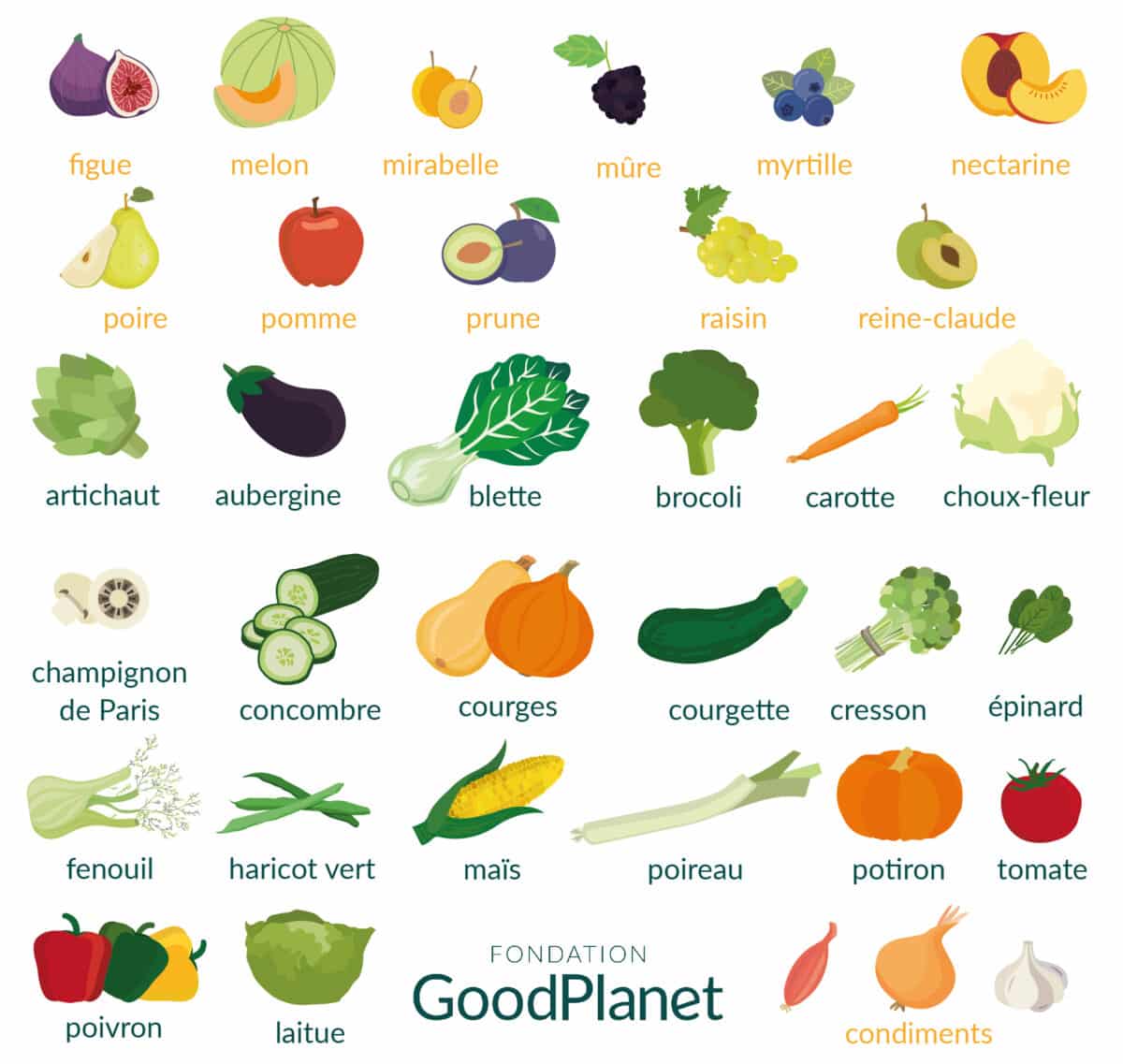 calendrier fruits et légumes de saison aout