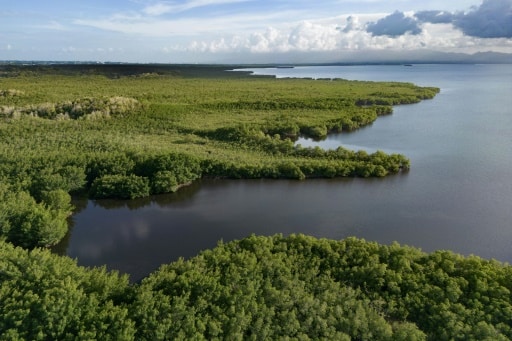 secours mangrove guadeloupe
