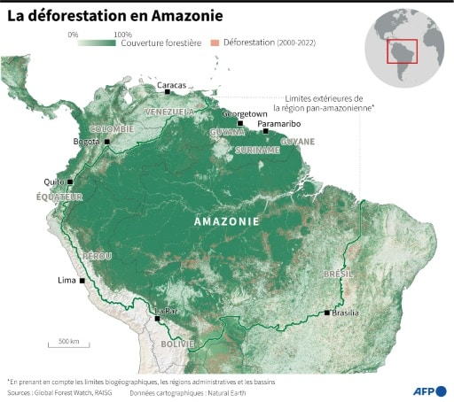 déforestation amazonie 
