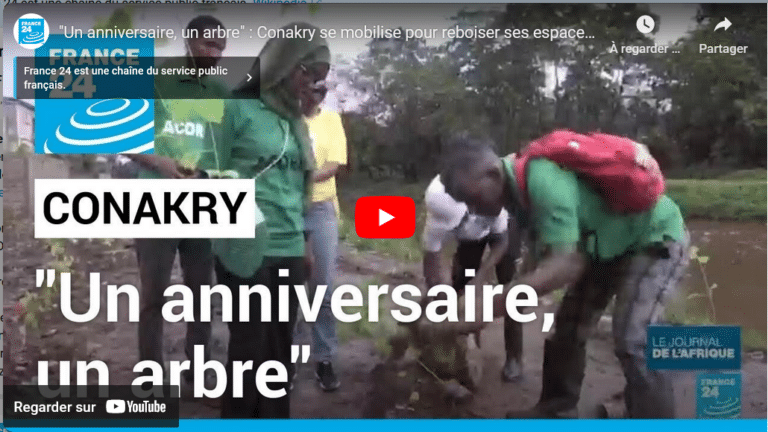 un anniversaire un arbre guinee conakry