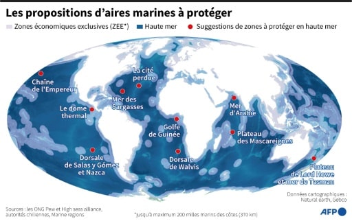 traité haute mer aires protégées 