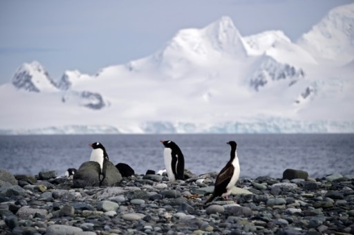 commission antarctique accord pas trouvé