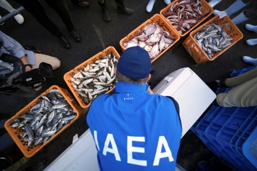AIEA poissons fukushima inspection
