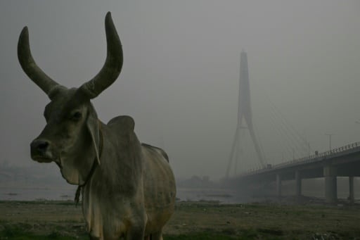 new delhi pollution nauges