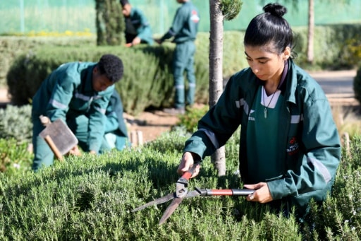 maroc ecole jardinage inclusion sensibilisation