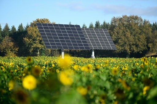 succes electricité solaire france français