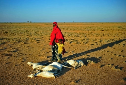 somalie assurance climat