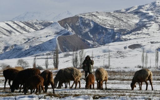mines de glaces khirgistan