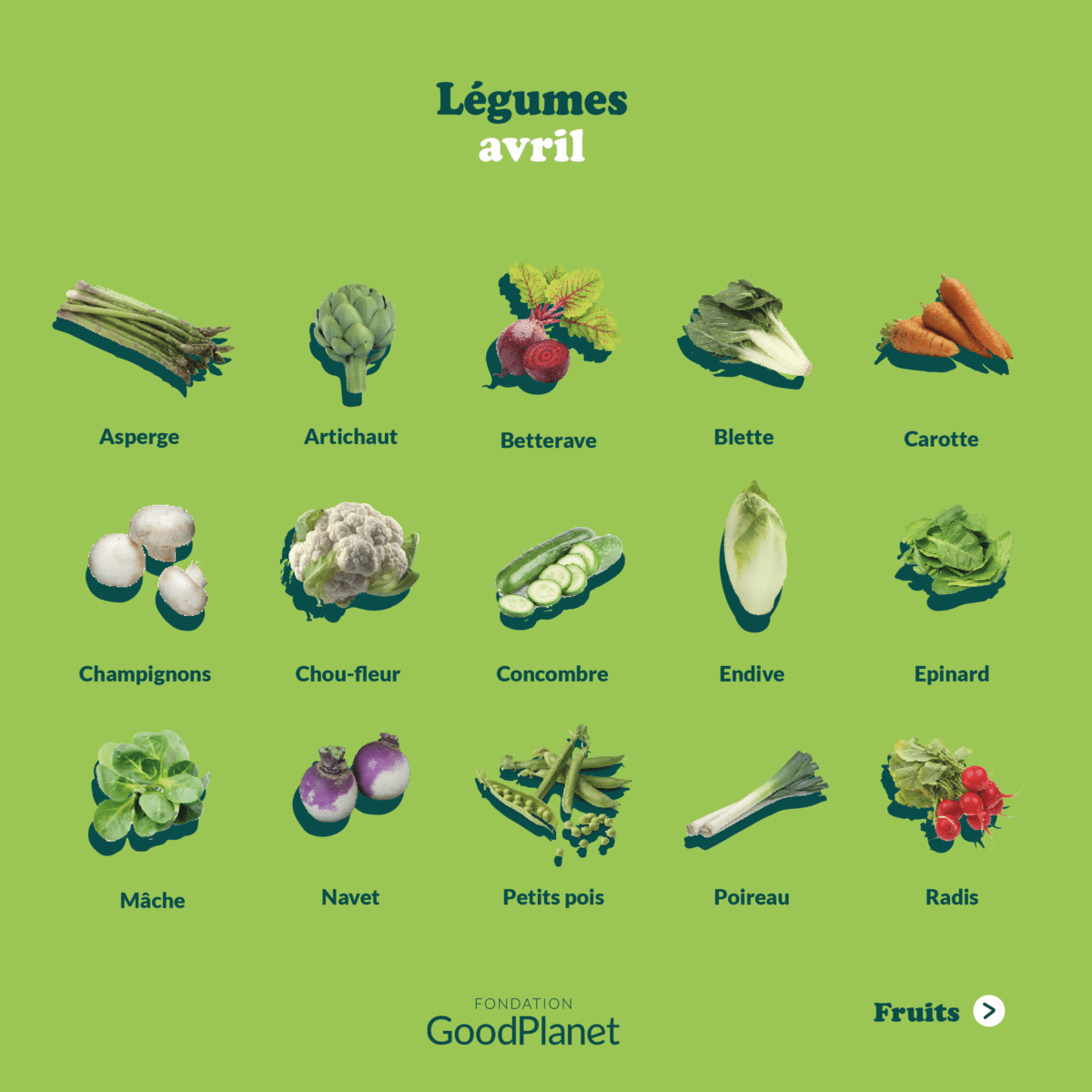 Le calendrier des fruits et des légumes d'avril 2024 © Fondation GoodPlanert