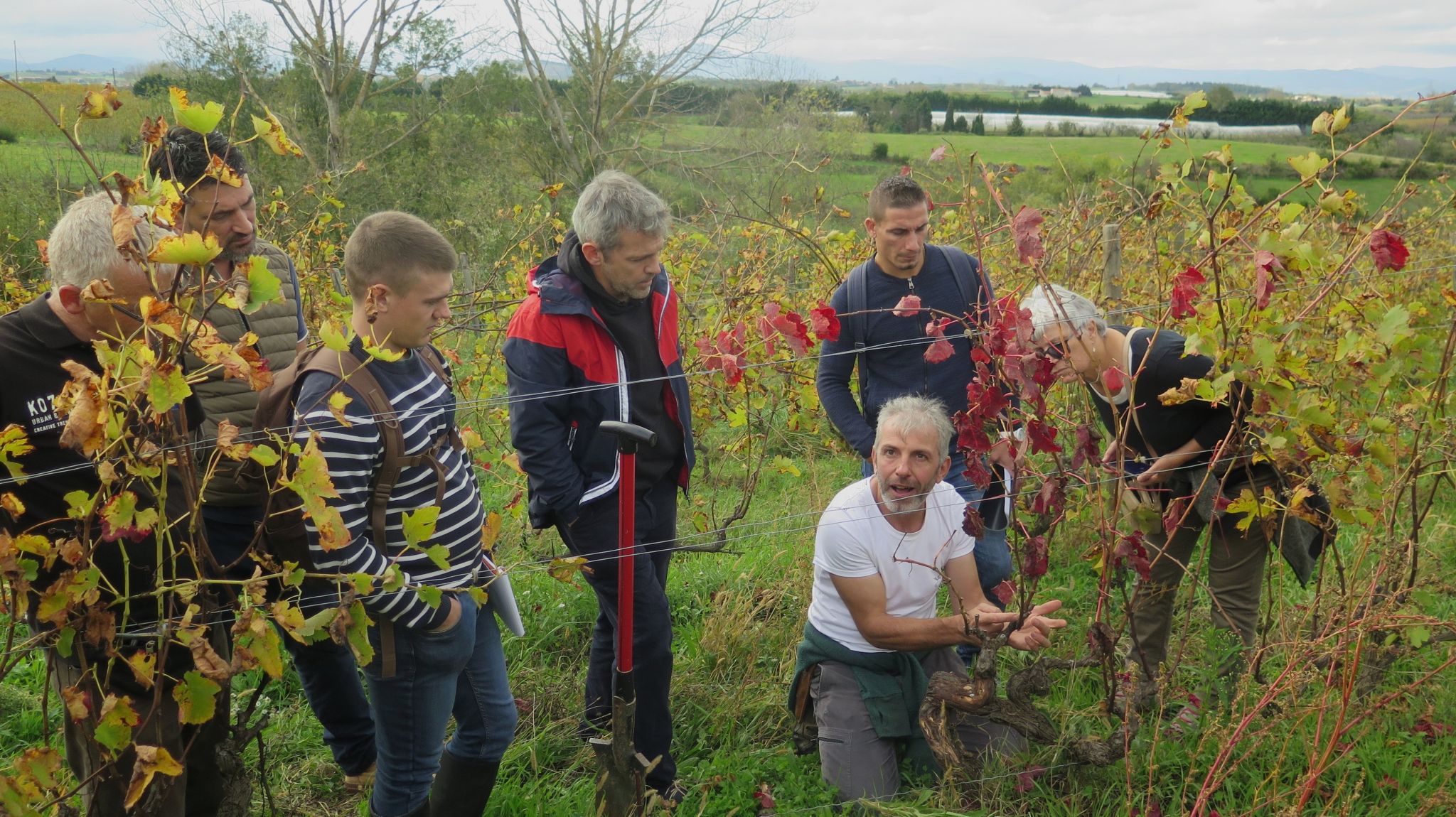 Transition agroécologique en viticulture : Retour sur les Rencontres ...