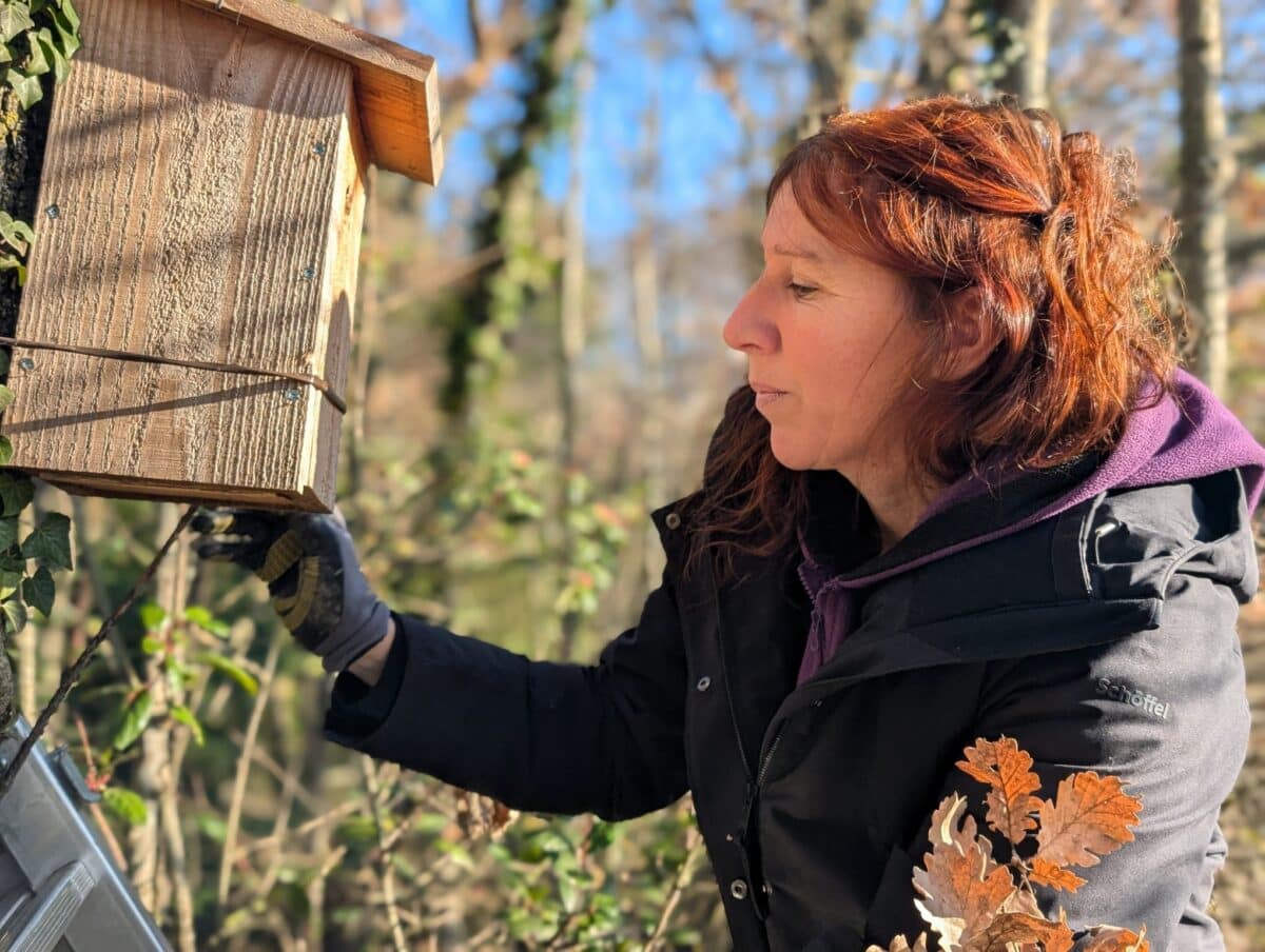 Sabine Couvent hirondelle au c champs