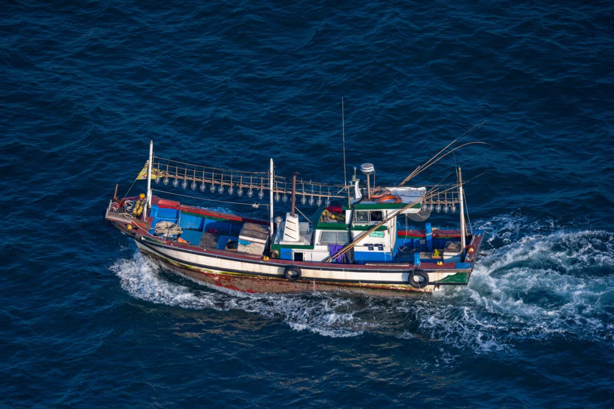 pêche monde stokc poissons viables