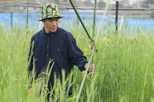 Takuya Haraguchi, directeur de ReFruits Co., inspecte ses plants de kiwis lors d'une interview avec l'AFP dans sa ferme, à quelques kilomètres de la centrale nucléaire sinistrée de Fukushima, le 24 avril 2025 à Okuma, au Japon © AFP Richard A. Brooks