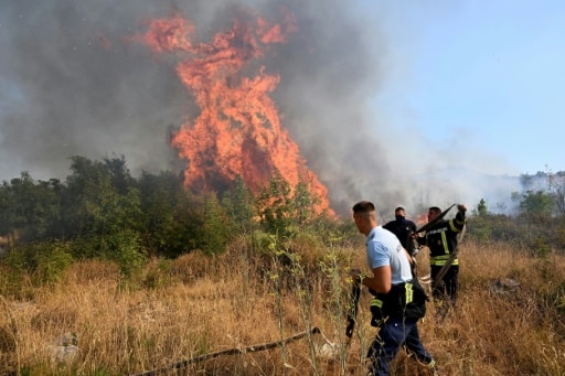 incendie foret
