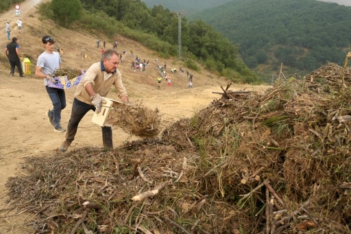 vague chaleur incendie