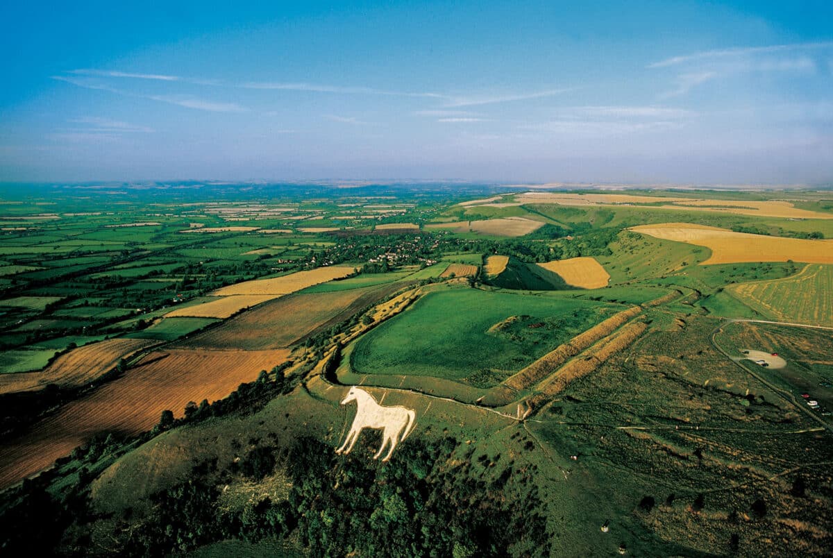 connexiion nature reconnecter