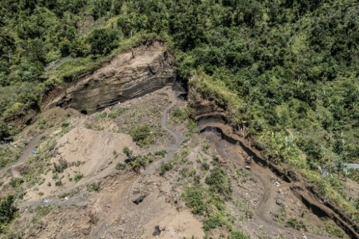 Comores forêt anjouan