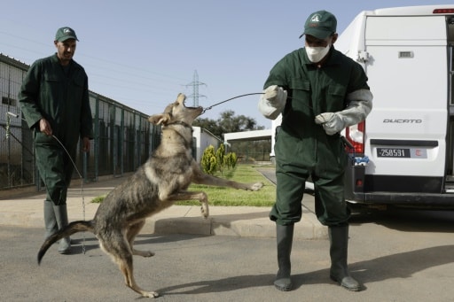 centre vétérinaire