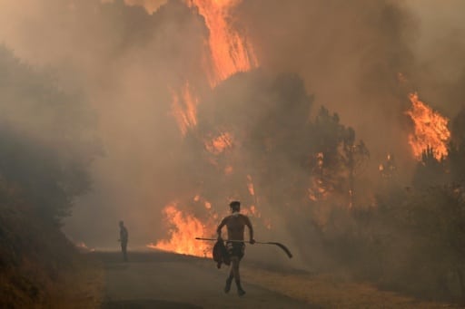 incendies erurope million hectares