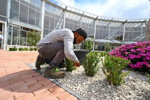 leon XIV 14 vatican groupe écologique