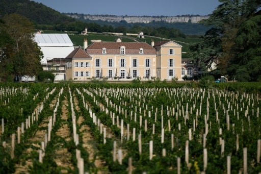 chateau vignoble