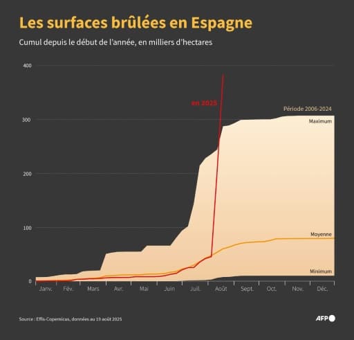 surfaces brûlées espagne incendies