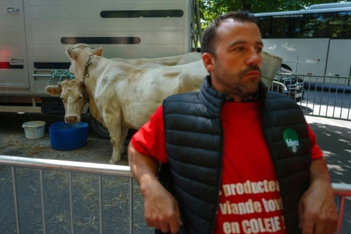 militant fédération nationale bovine