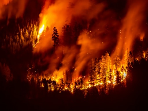 incendie de forêt canada