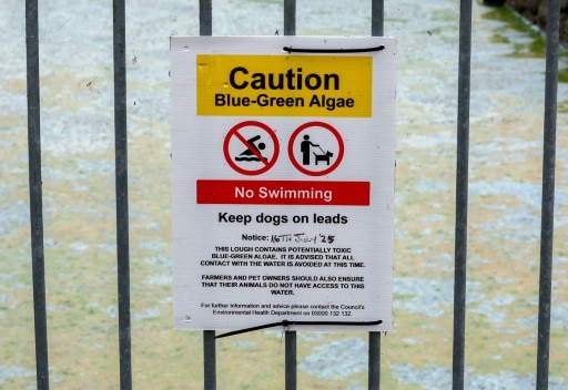 affiche baignade interdite