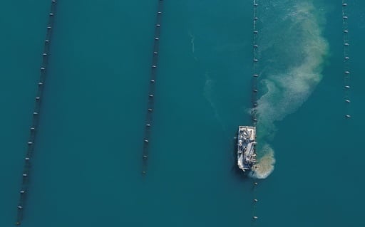 Un navire récolte des moules