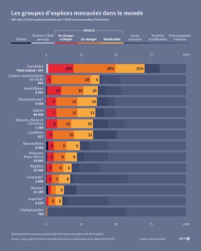 uicn liste rouge especes