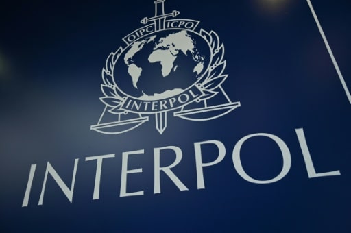 interpol trafic espece sauvages