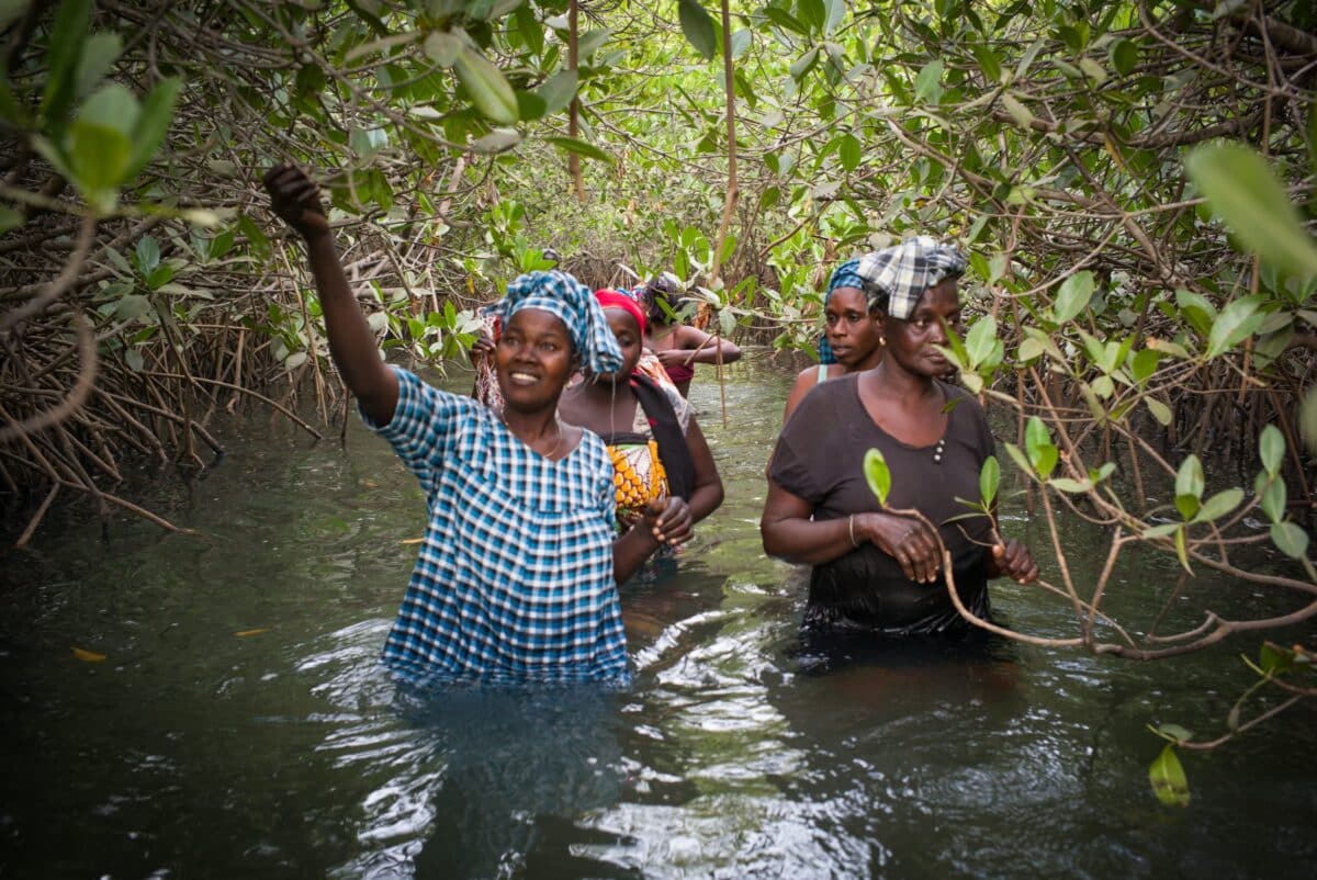 femmes et coquillages senegal