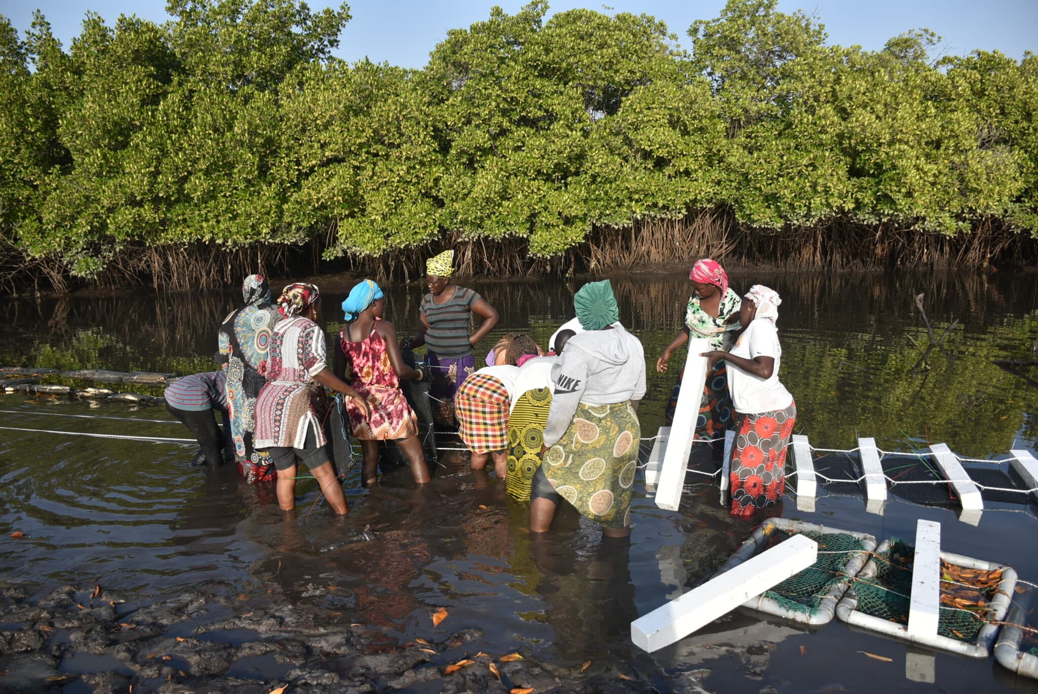 femmes et coquillages