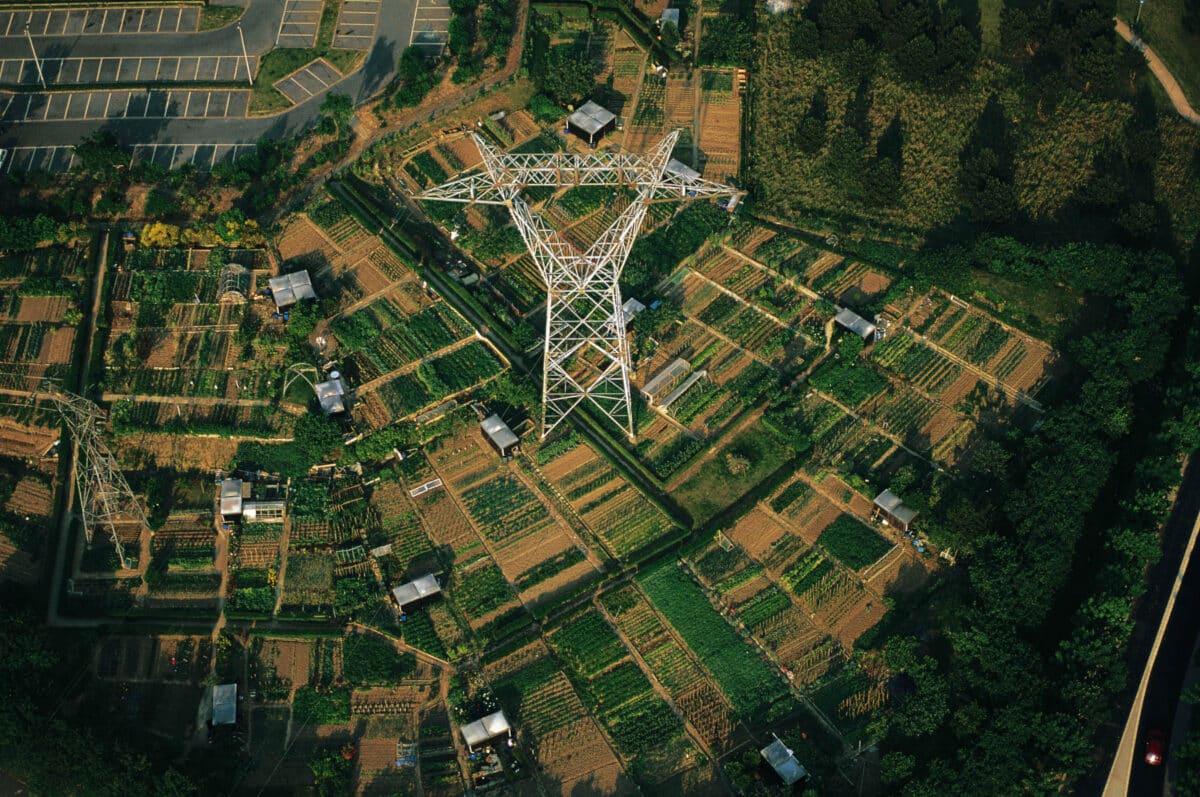 organisations alternatives